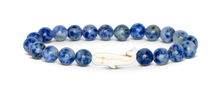 Load image into Gallery viewer, Wayfare Whale Fahlo Bracelet
