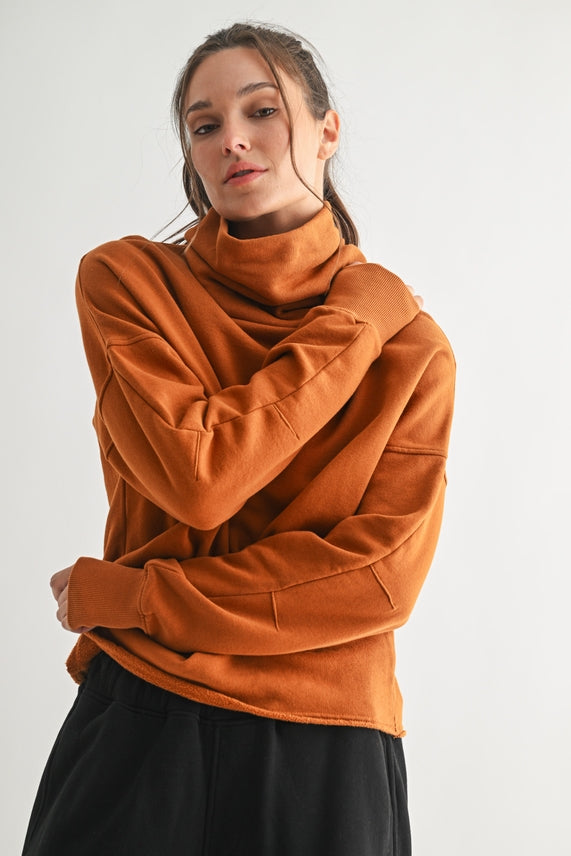Amber Turtleneck Sweatshirt