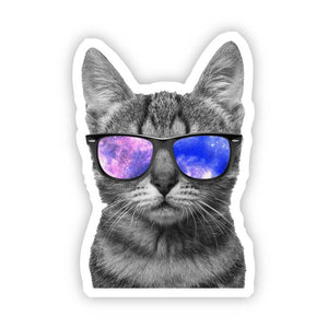 Cool Cat Decal