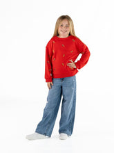 Load image into Gallery viewer, Embroidered Holiday Dog Pullover - Kids

