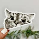 Load image into Gallery viewer, Big Moods Decals
