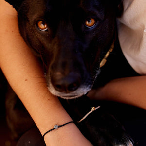 Black Paw Charm Pura Vida Bracelet