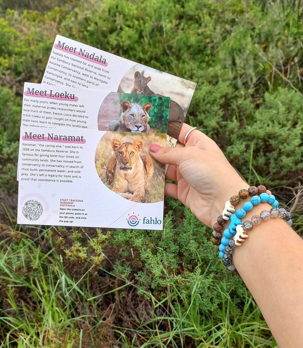 Excursion Lion Fahlo Bracelet